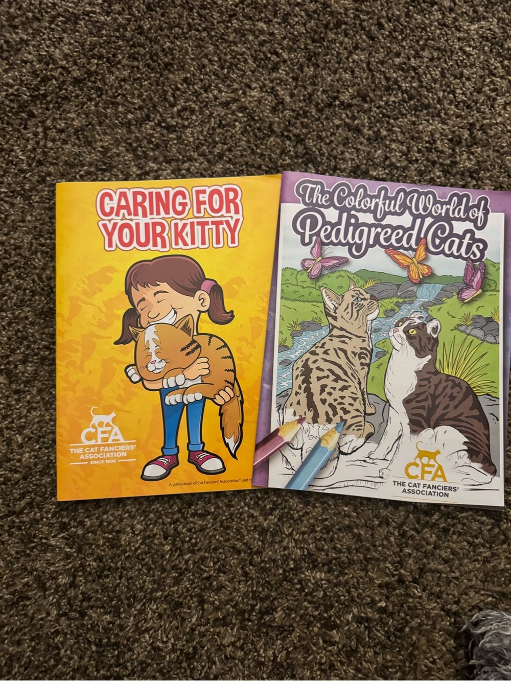 Detailed Feline Lovers Coloring Books. Includes Illustrations
